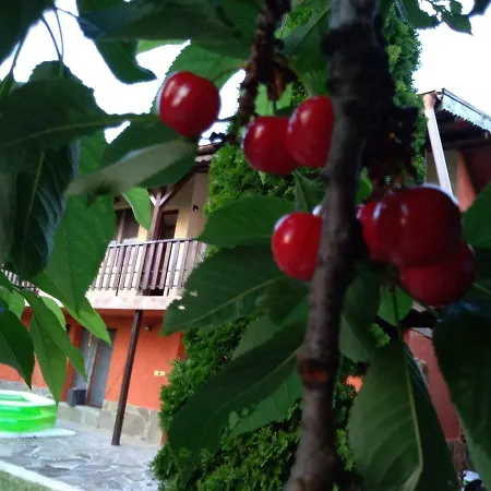 Casa de Férias Sunset House