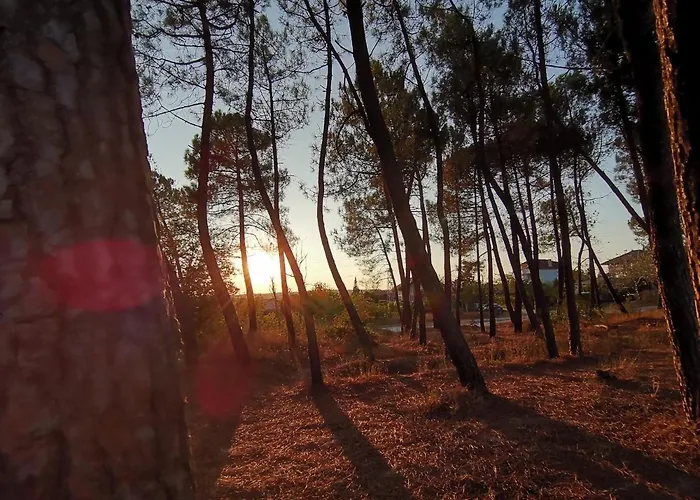 Sunset House بيت للعطل *