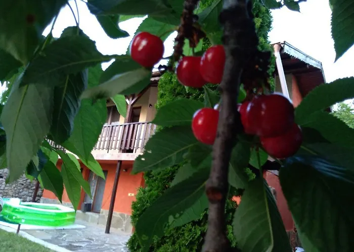 Сasa de vacaciones Sunset House